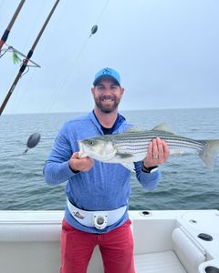 Striped bass caught by angler in East Dennis