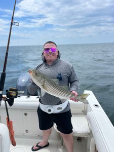 Striped bass caught by angler in East Dennis