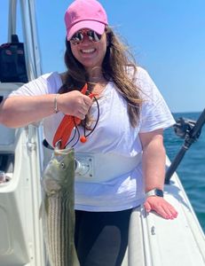 Striped bass caught while fishing in East Dennis
