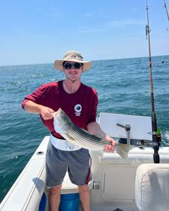 Striped bass caught during East Dennis fishing tour