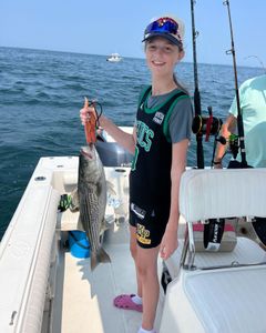 Striped bass caught during fishing tour in East Dennis