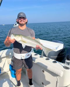 Striped bass caught during fishing tour in East Dennis