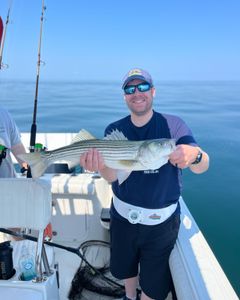 Striped bass caught during fishing trip in East Dennis