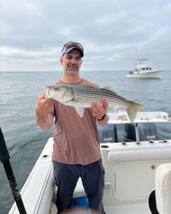 Striped bass caught on fishing tour in East Dennis