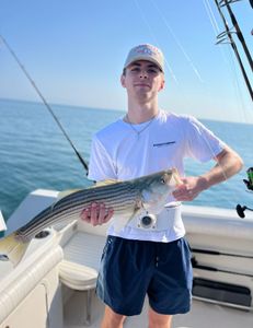 Striped bass caught by angler in East Dennis