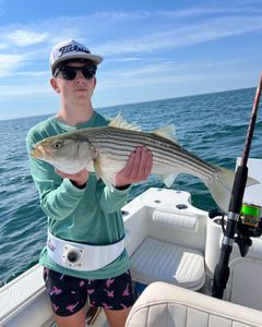 Striped bass caught while fishing in East Dennis