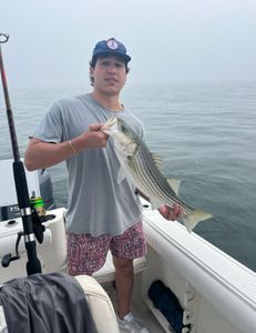 Striped bass fishing in East Dennis