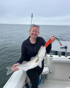 Striped bass caught while fishing in East Dennis