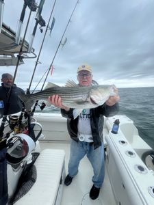 Striped bass caught during fishing tours in East Dennis