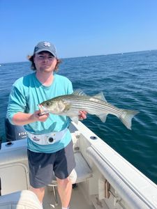 Striped bass caught while fishing in East Dennis