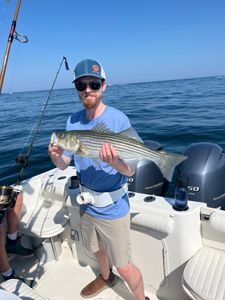 Striped bass caught during fishing tour in East Dennis
