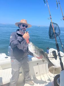 Striped bass caught while fishing in East Dennis
