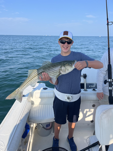 Huge Striped Bass hooked while light tackle fishing in partly cloudy East Dennis!