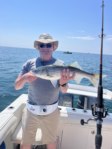 Big Striped Bass reeled in during a clearing afternoon in East Dennis!