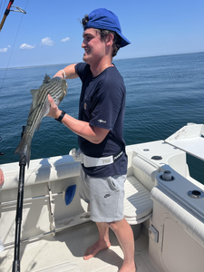Reeling in a striped bass on a clearing afternoon in East Dennis!