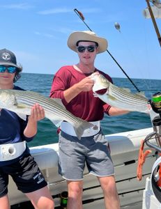 Two big striped bass caught during a fishing tour in East Dennis