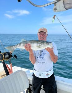Striped bass caught while fishing in East Dennis
