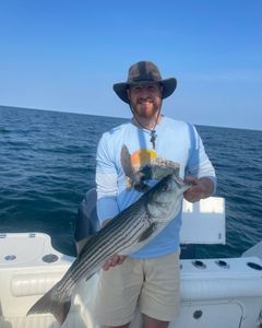 Striped bass caught fishing in East Dennis