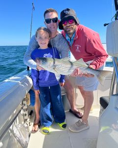 Striped bass fishing in East Dennis
