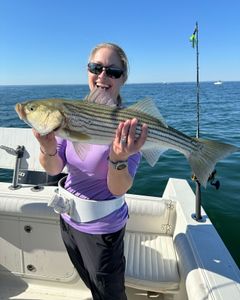 Striped bass fishing in East Dennis