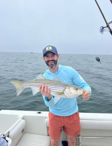 Striped bass caught while fishing in East Dennis