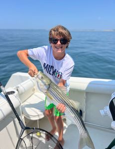 Striped bass caught while fishing in East Dennis