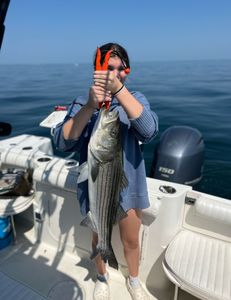 Striped bass caught during fishing tour in East Dennis