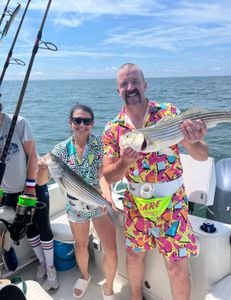 Two striped bass caught during fishing tour in East Dennis