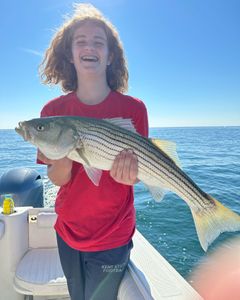 Striped bass, 26 inches, caught while fishing in East Dennis
