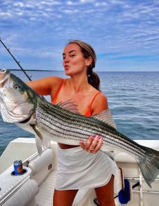 Striped bass caught fishing in MA