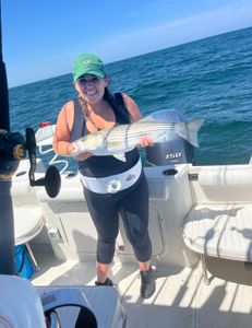 Striped bass fishing in MA