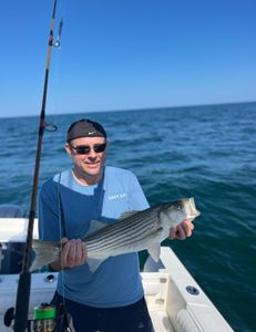 Striped bass caught while fishing in MA