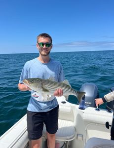 Striped bass fishing in MA