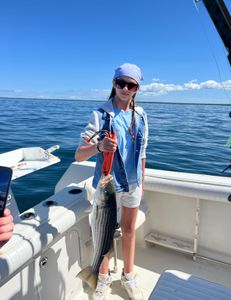 Striped bass caught while fishing in MA
