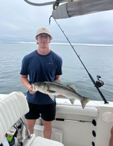 Striped bass fishing in MA