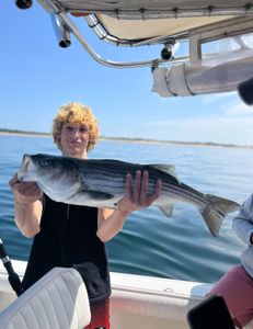 Striped bass caught fishing in MA