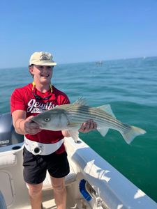Striped bass caught while fishing in MA