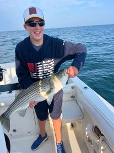 Striped bass fishing in MA