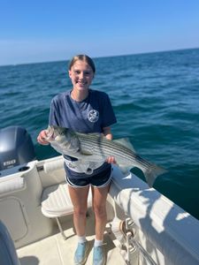 Striped bass fishing in MA