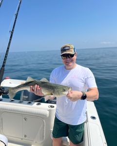 Striped bass caught during fishing tour in East Dennis