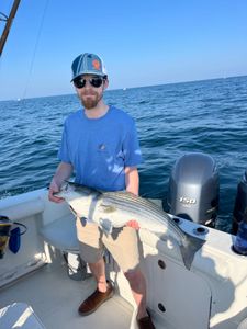 Striped bass caught while fishing in East Dennis