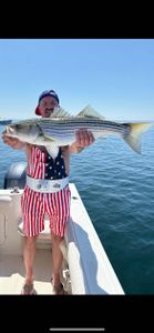Striped bass caught during fishing tour in East Dennis