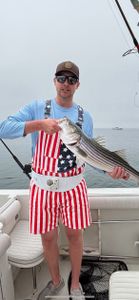 Striped bass caught during a fishing tour in East Dennis