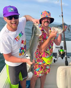 Striped bass caught during fishing tour in East Dennis