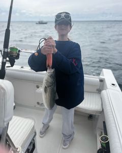 Striped bass caught during fishing tour in East Dennis