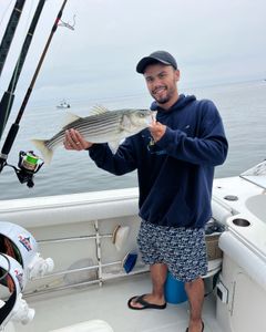 Striped bass caught on a fishing tour in East Dennis