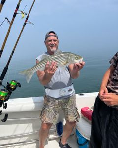 Striped bass caught during fishing tour in East Dennis