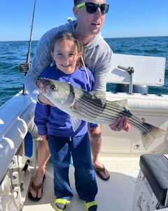 Striped bass caught during fishing tour in East Dennis