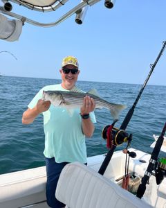 Striped bass caught during fishing tour in East Dennis