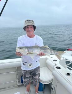 Striped bass caught during fishing tour in East Dennis
